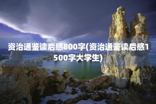 资治通鉴读后感800字(资治通鉴读后感1500字大学生)