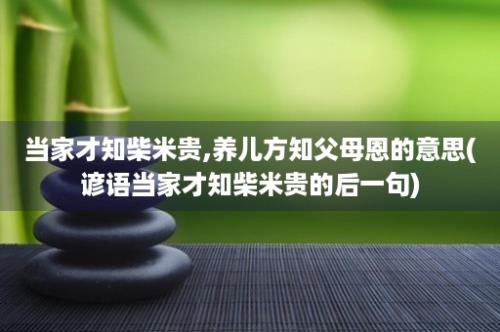 当家才知柴米贵,养儿方知父母恩的意思(谚语当家才知柴米贵的后一句)