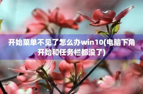 开始菜单不见了怎么办win10(电脑下角开始和任务栏都没了)