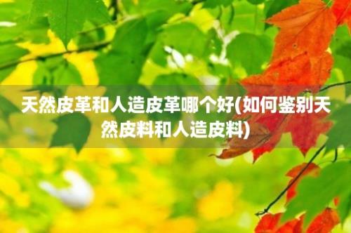 天然皮革和人造皮革哪个好(如何鉴别天然皮料和人造皮料)