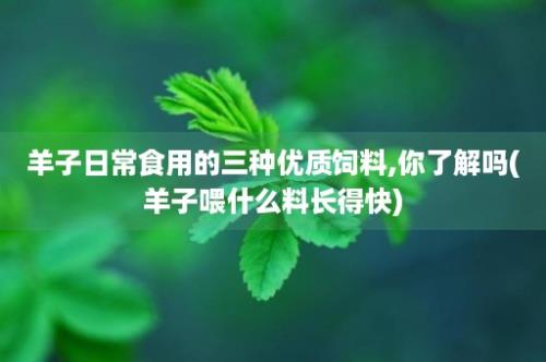 羊子日常食用的三种优质饲料,你了解吗(羊子喂什么料长得快)