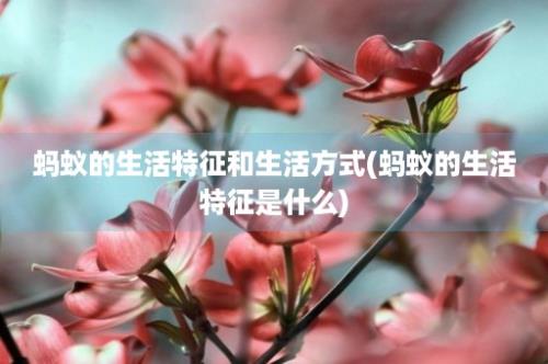 蚂蚁的生活特征和生活方式(蚂蚁的生活特征是什么)