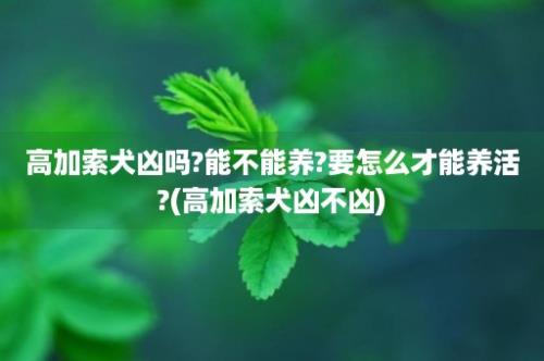 高加索犬凶吗?能不能养?要怎么才能养活?(高加索犬凶不凶)