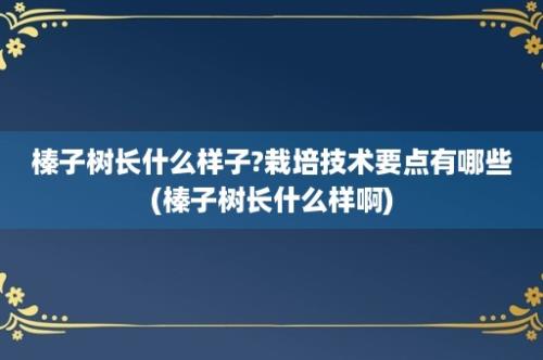 榛子树长什么样子?栽培技术要点有哪些(榛子树长什么样啊)