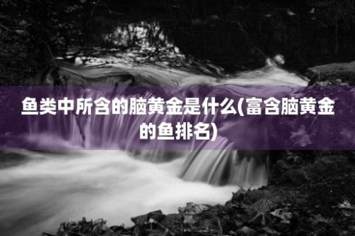 鱼类中所含的脑黄金是什么(富含脑黄金的鱼排名)