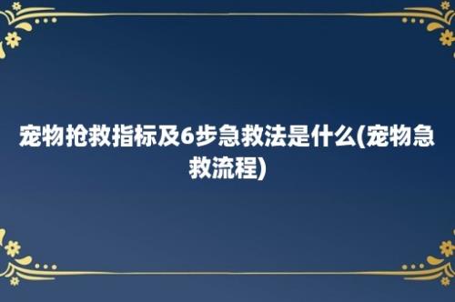 宠物抢救指标及6步急救法是什么(宠物急救流程)