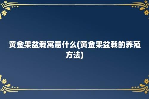 黄金果盆栽寓意什么(黄金果盆栽的养殖方法)