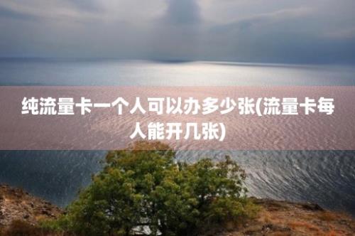 纯流量卡一个人可以办多少张(流量卡每人能开几张)