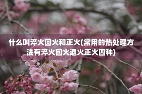 什么叫淬火回火和正火(常用的热处理方法有淬火回火退火正火四种)