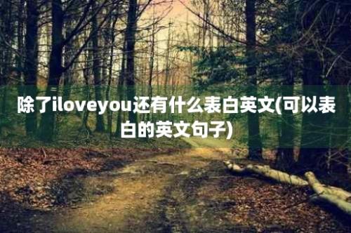 除了iloveyou还有什么表白英文(可以表白的英文句子)