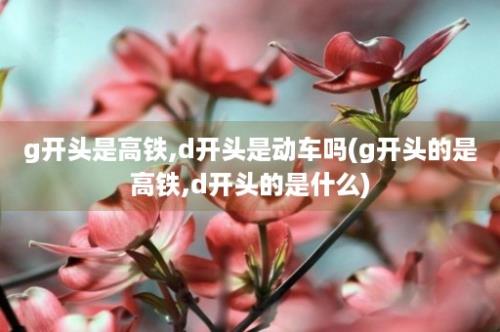 g开头是高铁,d开头是动车吗(g开头的是高铁,d开头的是什么)