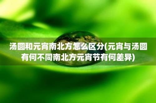 汤圆和元宵南北方怎么区分(元宵与汤圆有何不同南北方元宵节有何差异)