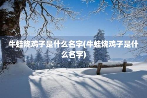 牛蛙烧鸡子是什么名字(牛蛙烧鸡子是什么名字)