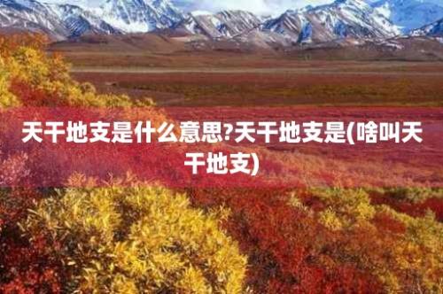 天干地支是什么意思?天干地支是(啥叫天干地支)