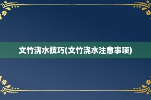 文竹浇水技巧(文竹浇水注意事项)