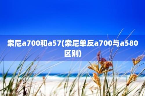 索尼a700和a57(索尼单反a700与a580区别)