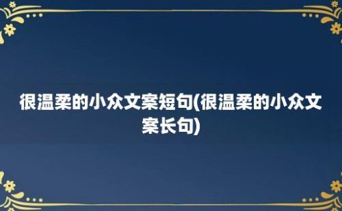 很温柔的小众文案短句(很温柔的小众文案长句)