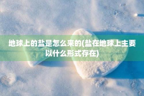 地球上的盐是怎么来的(盐在地球上主要以什么形式存在)