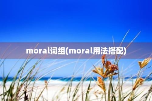 moral词组(moral用法搭配)