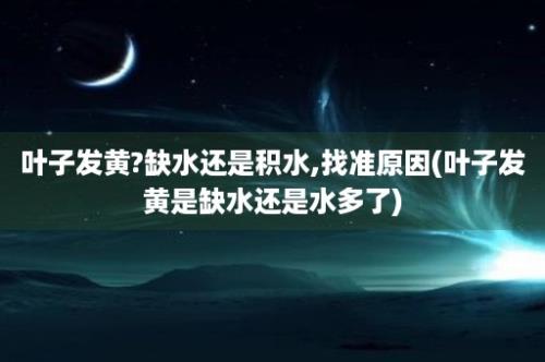 叶子发黄?缺水还是积水,找准原因(叶子发黄是缺水还是水多了)