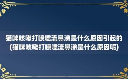 猫咪咳嗽打喷嚏流鼻涕是什么原因引起的(猫咪咳嗽打喷嚏流鼻涕是什么原因呢)