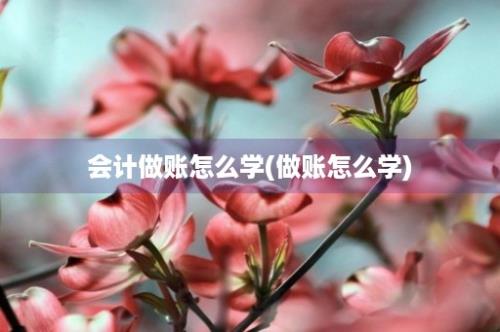 会计做账怎么学(做账怎么学)