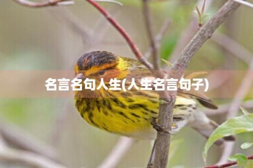 名言名句人生(人生名言句子)