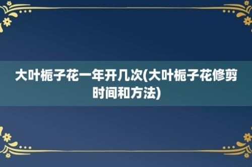 大叶栀子花一年开几次(大叶栀子花修剪时间和方法)