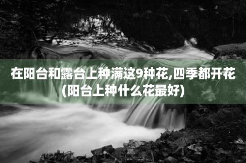 在阳台和露台上种满这9种花,四季都开花(阳台上种什么花最好)