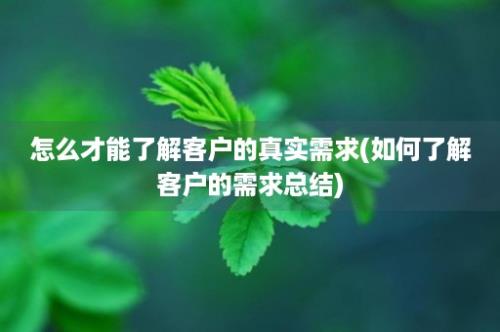 怎么才能了解客户的真实需求(如何了解客户的需求总结)