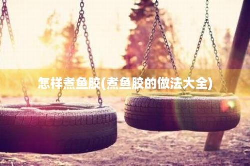 怎样煮鱼胶(煮鱼胶的做法大全)