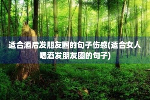 适合酒后发朋友圈的句子伤感(适合女人喝酒发朋友圈的句子)