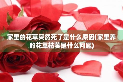 家里的花草突然死了是什么原因(家里养的花草枯萎是什么问题)