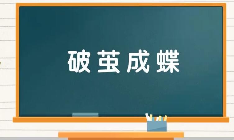 破茧成蝶是什么意思