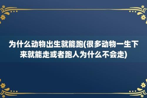 为什么动物出生就能跑(很多动物一生下来就能走或者跑人为什么不会走)