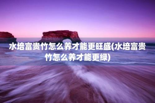 水培富贵竹怎么养才能更旺盛(水培富贵竹怎么养才能更绿)