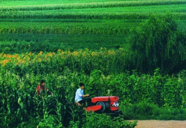 什么是农林牧渔