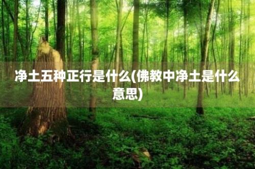 净土五种正行是什么(佛教中净土是什么意思)