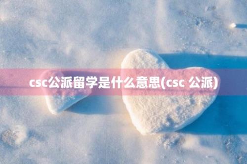 csc公派留学是什么意思(csc 公派)