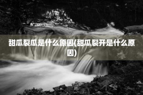 甜瓜裂瓜是什么原因(甜瓜裂开是什么原因)