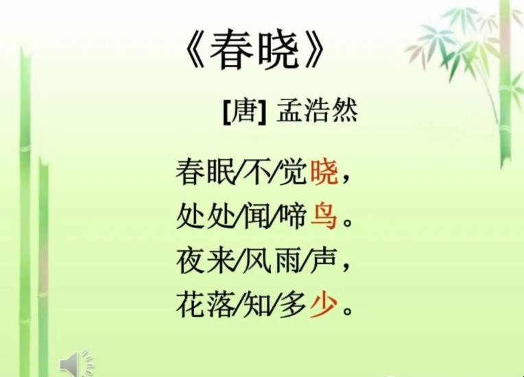 《春晓》的诗意是什么