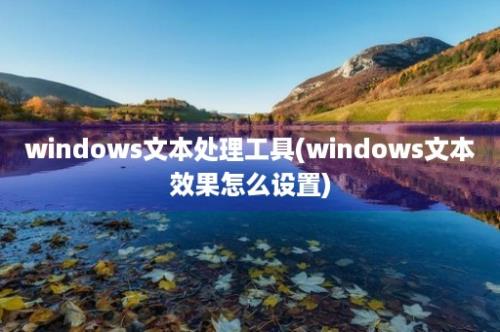 windows文本处理工具(windows文本效果怎么设置)