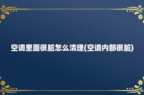 空调里面很脏怎么清理(空调内部很脏)