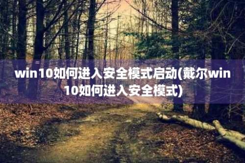 win10如何进入安全模式启动(戴尔win10如何进入安全模式)