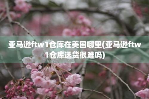 亚马逊ftw1仓库在美国哪里(亚马逊ftw1仓库送货很难吗)