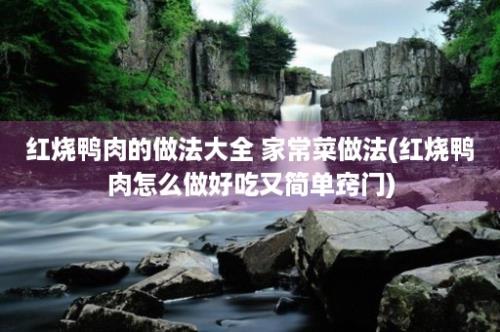 红烧鸭肉的做法大全 家常菜做法(红烧鸭肉怎么做好吃又简单窍门)