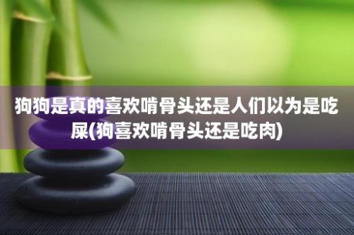 狗狗是真的喜欢啃骨头还是人们以为是吃屎(狗喜欢啃骨头还是吃肉)