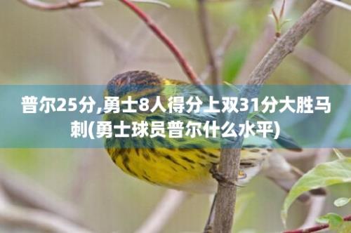 普尔25分,勇士8人得分上双31分大胜马刺(勇士球员普尔什么水平)