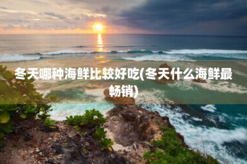 冬天哪种海鲜比较好吃(冬天什么海鲜最畅销)