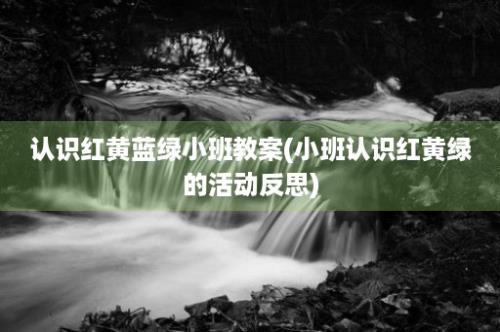 认识红黄蓝绿小班教案(小班认识红黄绿的活动反思)